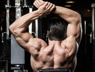 Build muscle mass